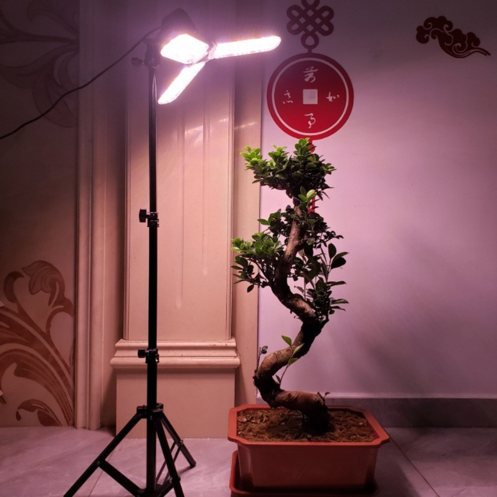Gloeilampstandaard 2M, E27 AC- - Lighting In Photography Studio recensie en prijs