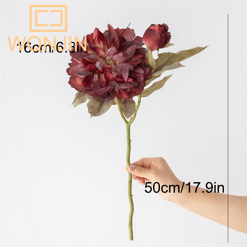 1PC Licht Luxe 2-koppige Grote - Photography Lighting Simulation recensie en prijs