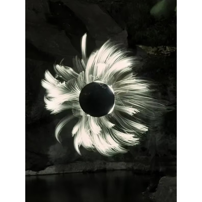 LLP lichtborstelmodule lichtte - Photography Lighting Guides recensie en prijs