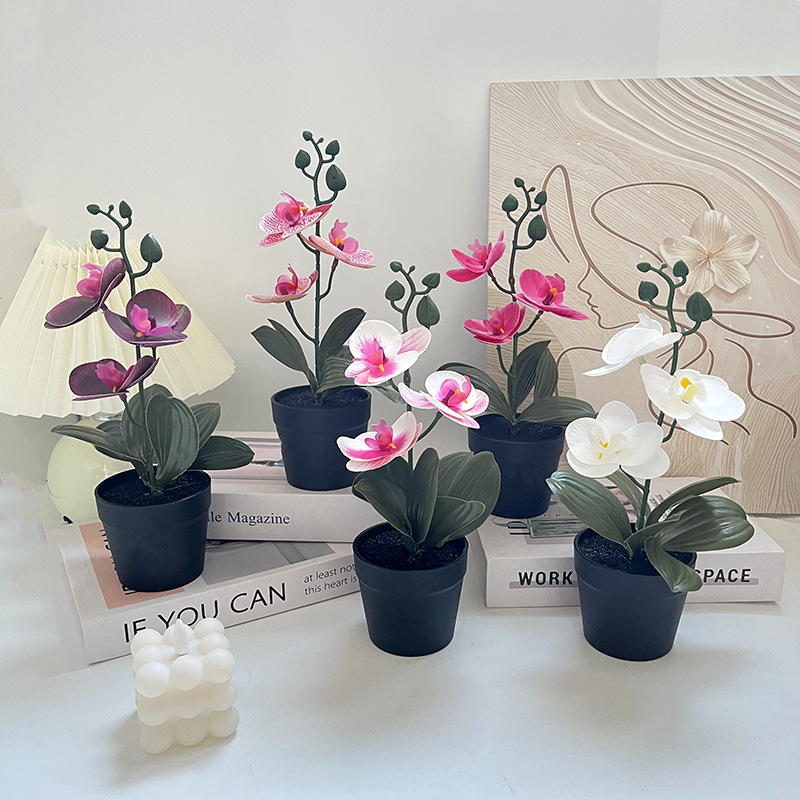 Licht luxe zwarte kleipot, sim - Photography Lighting Simulation recensie en prijs