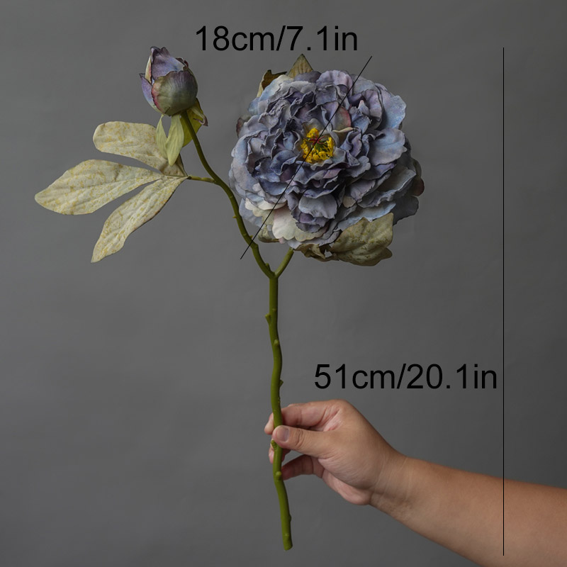 1 ST Licht Luxe 2 Hoofd Grote  - Photography Lighting Simulation recensie en prijs
